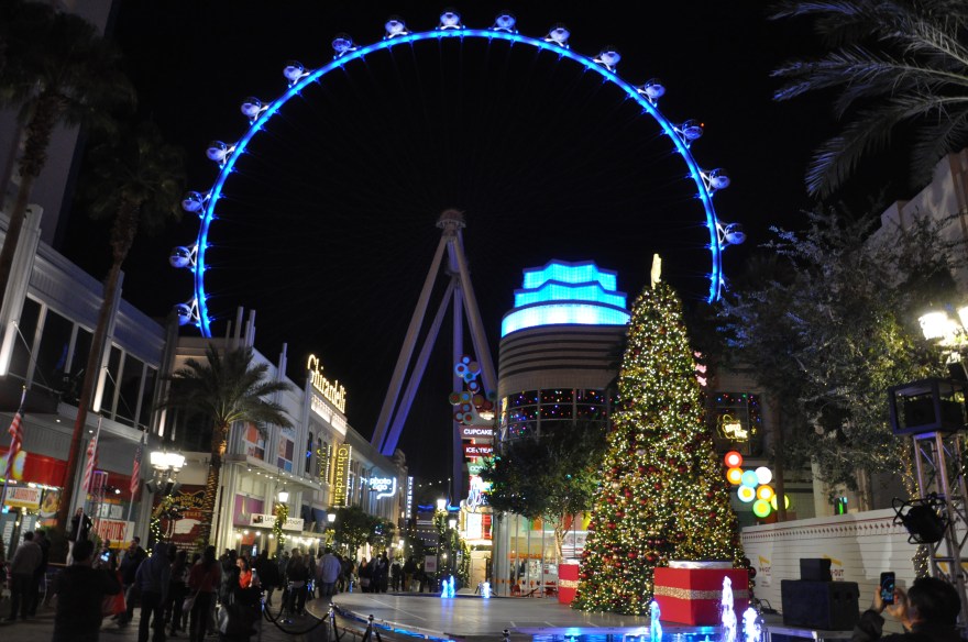 015_A_Vegas Holiday_DSC_0639