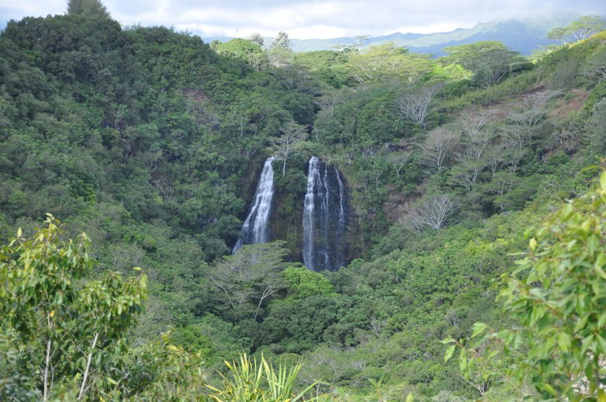 20161206-7 OpaekaaFallsHI